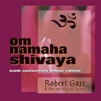 Om Namaha Shivaya